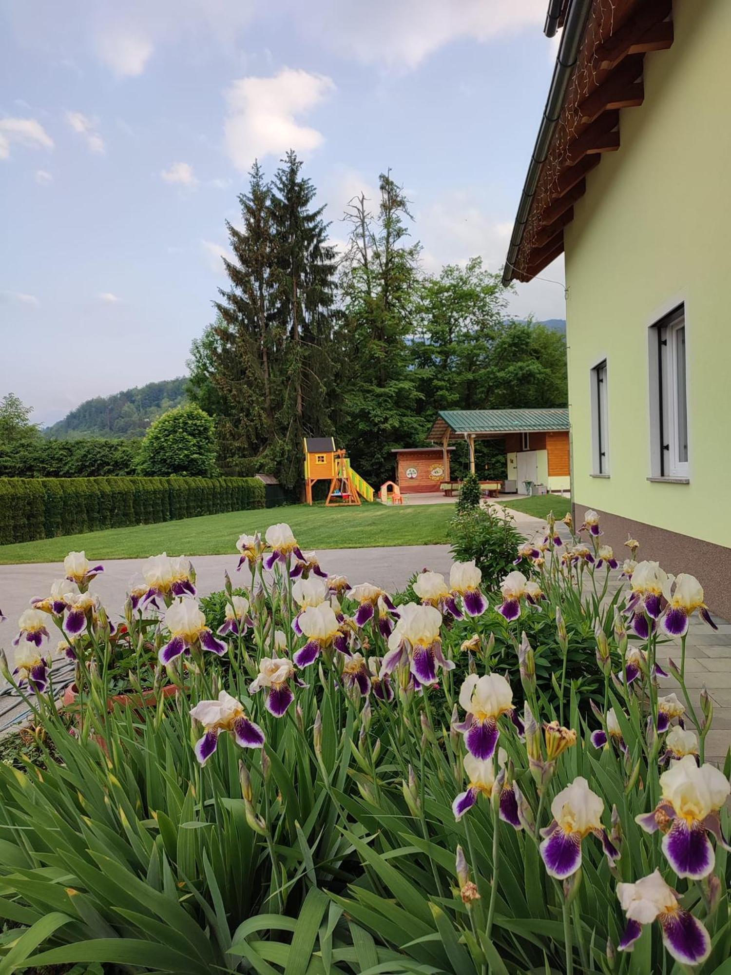 Apartments And Wellness Jelovca Radovljica Esterno foto